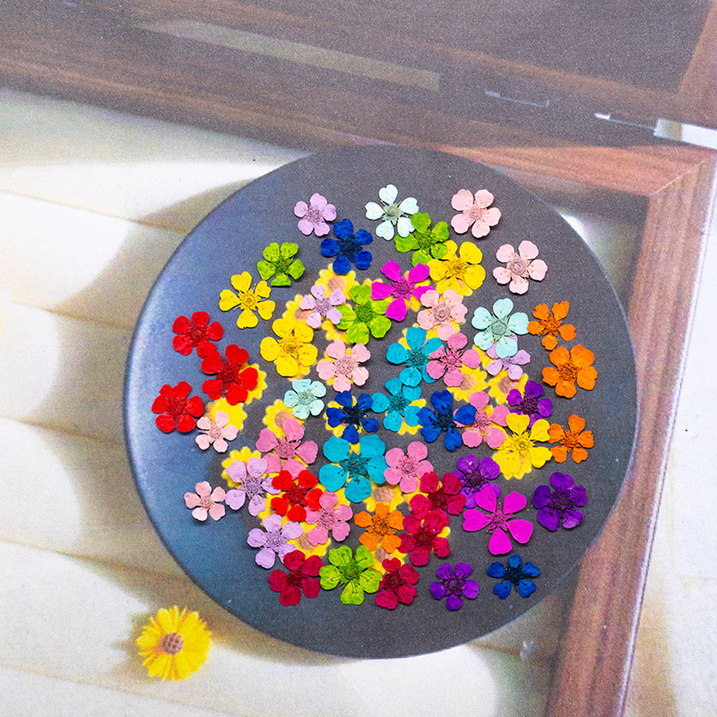 Resin Art Frame - 96 Buah Bunga Mini 1.5Cm Alami