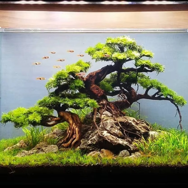 Bak Bunga Seni Kayu Apung Rama - Resin Art And Wood ulasan dan harga