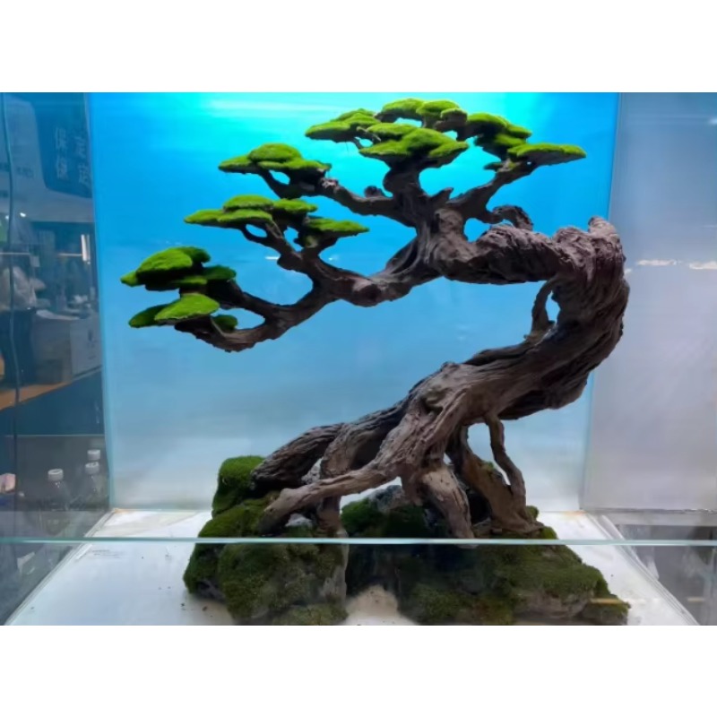 Bak Bunga Seni Kayu Apung Rama - Resin Art And Wood ulasan dan harga