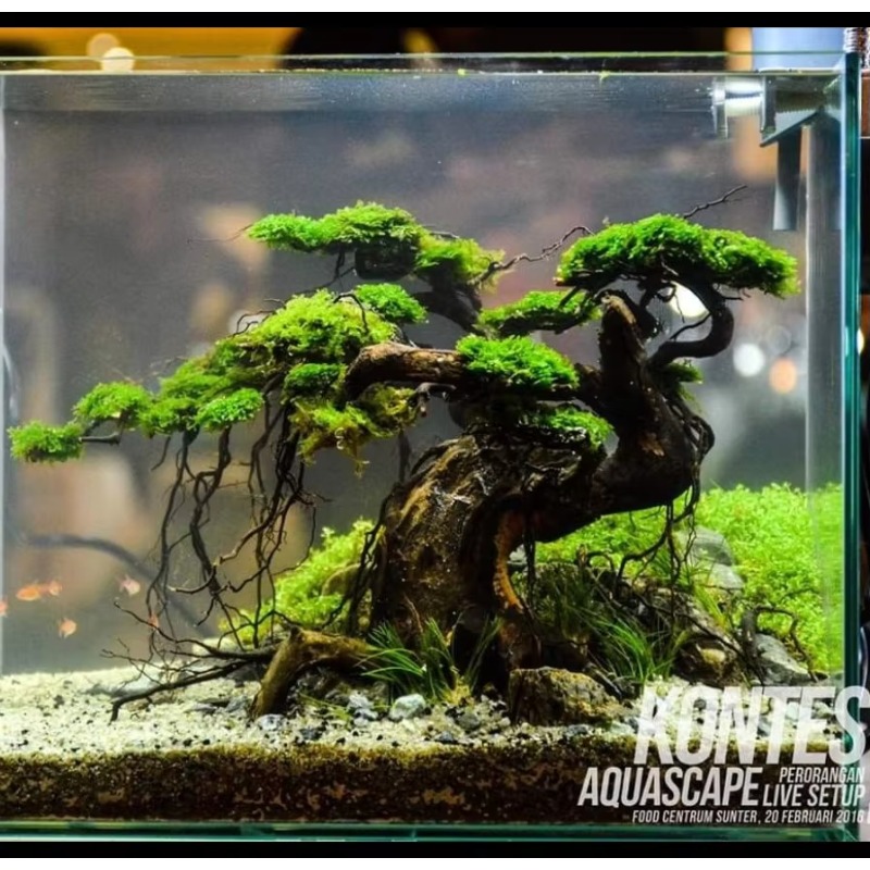Bak Bunga Seni Kayu Apung Rama - Resin Art And Wood ulasan dan harga