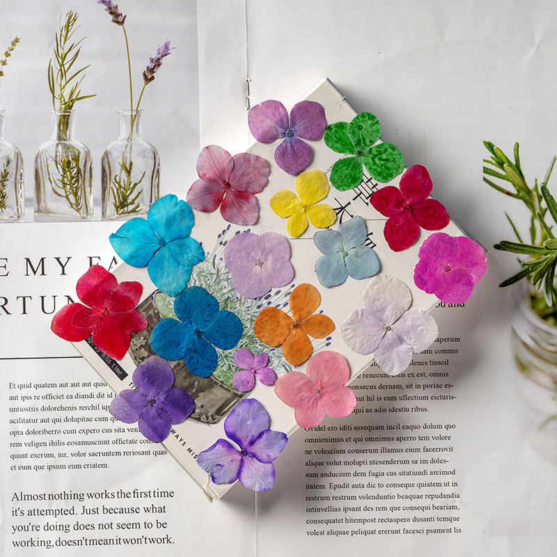 60 Buah Bunga Anna Hydrangea P - Resin Art Frame ulasan dan harga