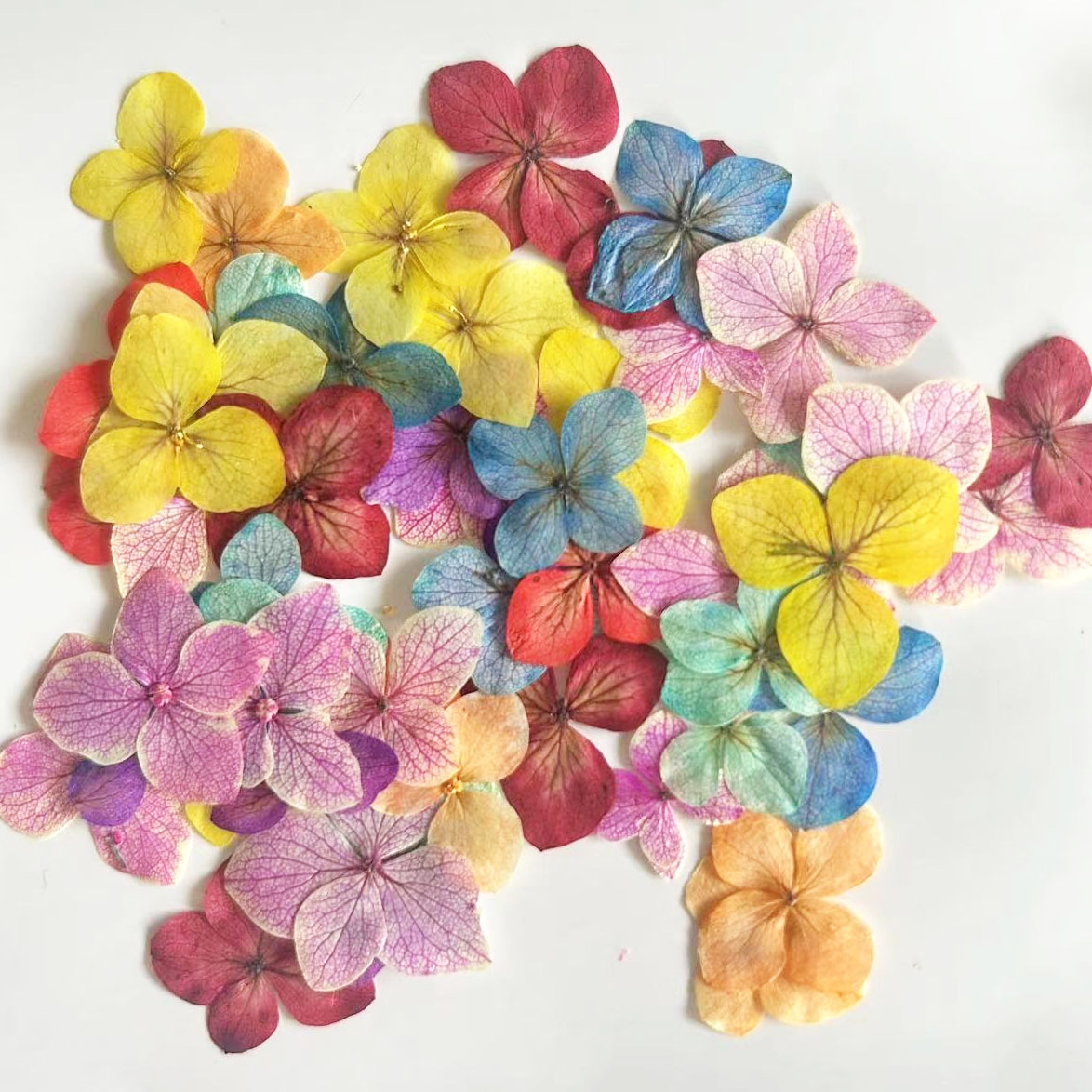 60 Buah Bunga Anna Hydrangea P - Resin Art Frame ulasan dan harga