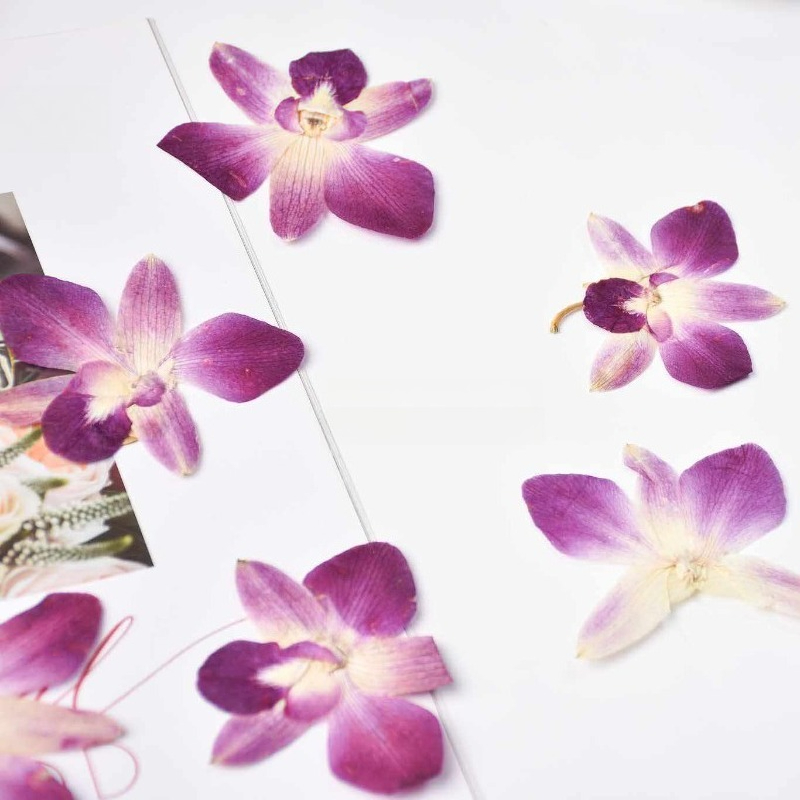 4 Buah, Bunga Anggrek Kupu-kup - Resin Art Frame ulasan dan harga