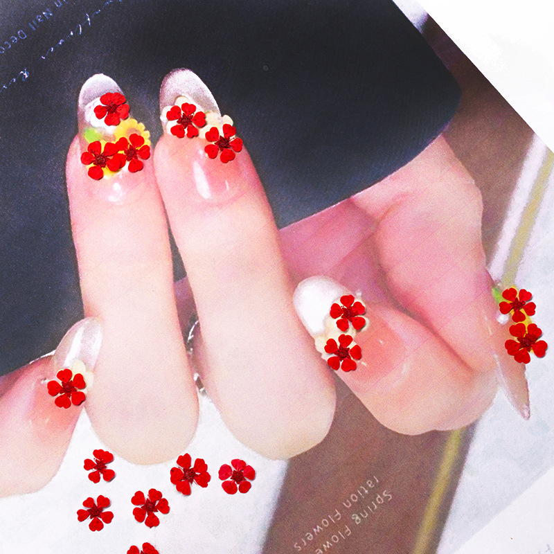 96 Buah Bunga Mini 1.5Cm Alami - Resin Art Frame ulasan dan harga
